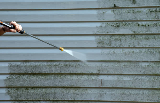 Best Solar Panel Cleaning  in Fruitvale, CO